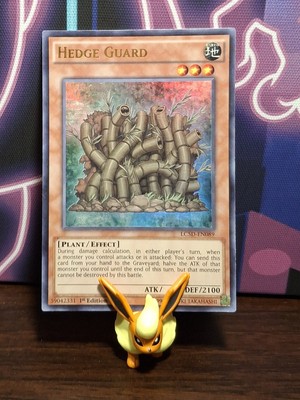 Hedge Guard LC5D-EN089 Legendary Collection 5D's 1st Edition-image