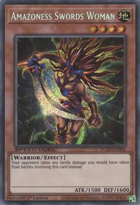 Near Mint x 1 Amazoness Swords Woman - SGX3-END02 - Secret Rare - 1st Edition SG-image