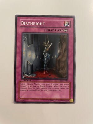 Yu-Gi-Oh! TCG Birthright Yu-Gi-Oh! 5D's 5DS1-EN040 1st Edition Common-image