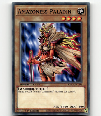 Yugioh Amazoness Paladin Speed Duel GX: Duelists of Shadows-image