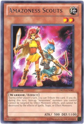 Yu-Gi-Oh Card - DREV-EN081 - AMAZONESS SCOUTS (rare) - NM/Mint-image