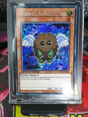 Winged Kuriboh (Secret Rare) SGX1-ENA06 Speed Duel GX: Duel Academy Box 1st...-image