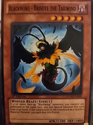 Blackwing - Brisote the Tailwind - 1st Edition - Yugioh Dark Monster - Vintage-image