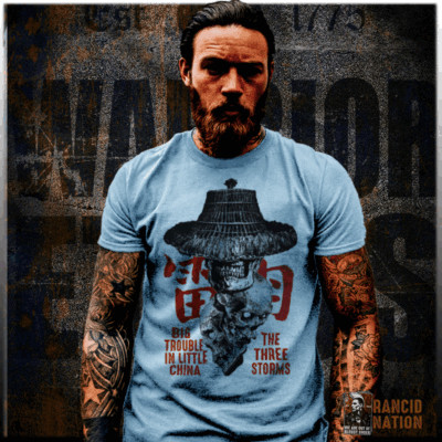 The three storms Kung Fu t-shirt retro Karate shaolin martial arts cinema S-2XL-image