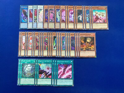 Yu-Gi-Oh! 5D's - Akiza Izinski's Complete Rose Dragon & Plant Synchro Deck-image