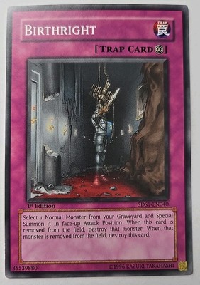 Yu-Gi-Oh! Birthright - 5DS1-EN040 - 1st Edition - LP -image