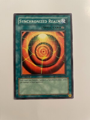 Yu-Gi-Oh! TCG Synchronized Realm Yu-Gi-Oh! 5D's 5DS1-EN022 1st Edition Common-image