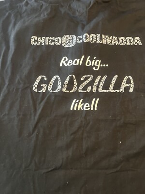 RARE! Chico & Coolwadda Real Big Godzilla Like Rap Hip Hop Tee Sort Size 3XL New-image