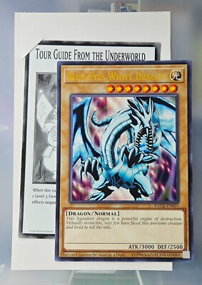 Yu-Gi-Oh! Blue-Eyes White Dragon & Tour Guide from the Underworld Jumbo Cards-image