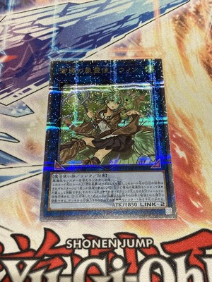 Yu-Gi-Oh! GaoRitch Wind of the Blue 25th TCG Card Slightly Used Japan-image