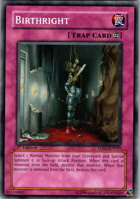 Yu-Gi-Oh TCG Birthright 5DS1-EN040 1st Edition Regular Common Card NM-image