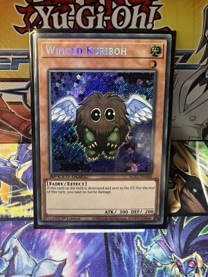 Winged Kuriboh  | Yu-Gi-Oh! Speed Duel GX SGX1-ENA06 Secret Rare 1st Edition-image