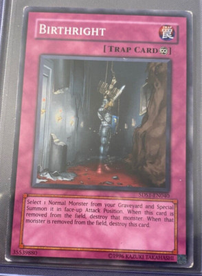 Yugioh! Birthright - 5DS1-EN040 - Common - Unlimited Edition English MP-image