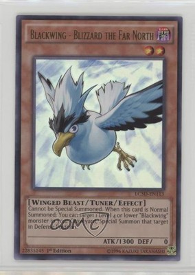 2014 Yu-Gi-Oh! Legendary Collection 5Ds Blackwing - Blizzard the Far North 5u3-image