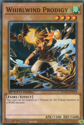 YUGIOH CARD WHIRLWIND PRODIGY SGX2-END14 1ST EDITION COMMUN-image