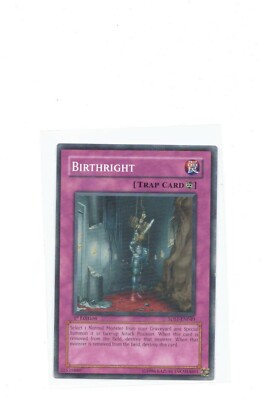 Birthright 5DS1-EN040 Common Yu-Gi-Oh Card 1st Edition-image