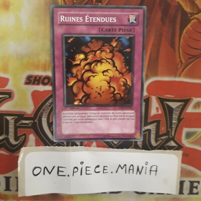 Yu-Gi-Oh! Extended Ruins 5DS2-FR040 1st-image