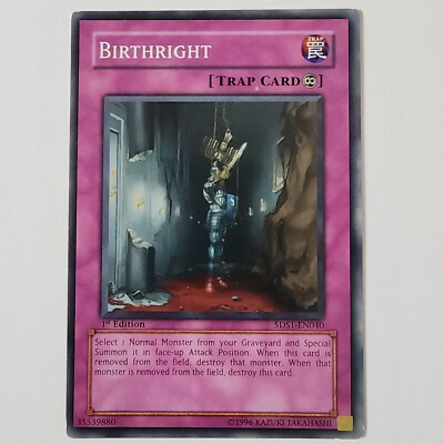 Birthright - 5DS1-EN040 - HP+ - Common - 1st ed - Yugioh-image