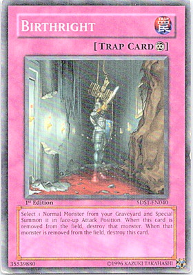 Birthright 5DS1-EN040 Yu-Gi-Oh! Light Play 1st Edition -image