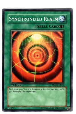Yugioh - 1X Synchronized Realm - Common - 1st Edition - 5DS1-EN022 - Light Play-image