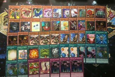 Yugioh AKIZA AZINSKI DECK 5DS PLANT TENGU BLACK ROSE REBORN BLUE **HOT** + Bonus-image