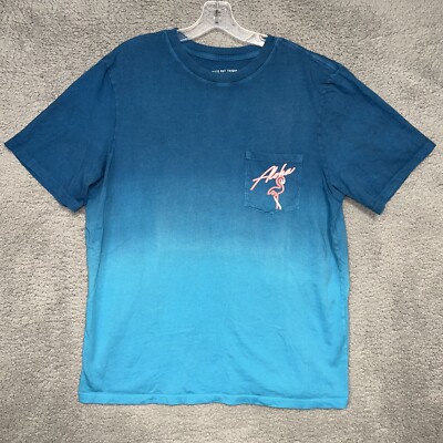 Chubbies Performance T Shirt Mens Sz L Blue 2-Side Aloha Flamingo Pocket Tee-image
