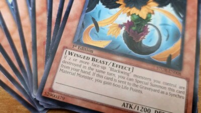 Yugioh! - Random - Winged Beast - Commons - (SINGLES)-image