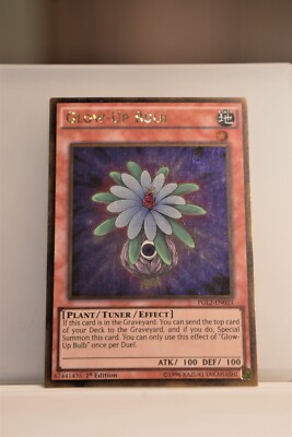 Glow-Up Bulb - Legendary Collection 5D's (LC05)-image