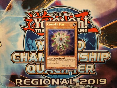 Yugioh Glow-Up Bulb - LC5D-EN092 - Secret Rare - 1st Edition NM-image