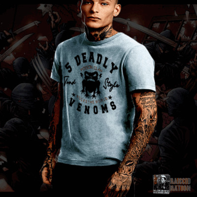 Deadly Venom Toad Style t-shirt Karate shaolin martial arts cinema S-2XL-image
