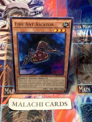 Yugioh x1 Fire Ant Ascator (Rare 1st Ed LC5D-EN224) (Near Mint!)-image