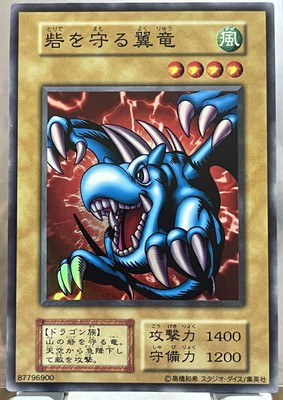 Yu-Gi-Oh! Protecting Pterosaur Card Japan-image