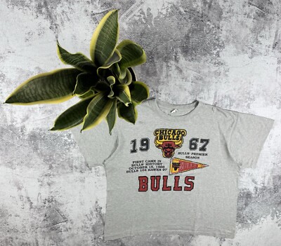 Vintage 90S Chicago Bulls NBA Basketball Jersey 1967 1997 Merch 90S T Shirt Tee-image