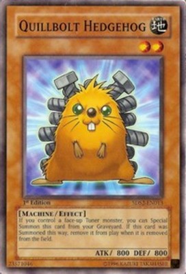 Quillbolt Hedgehog - 5DS2-EN013 - Common - 1st Edition Lightly Played 5D's Start-image