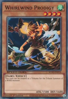 Whirlwind Prodigy - SGX2-END14 - Common - 1st Edition - Near Mint-image