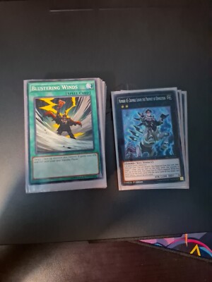 Yugioh Two Star XYZ Deck (43 Cards) | Monster Effect Focus | Comes With Sleeves-image
