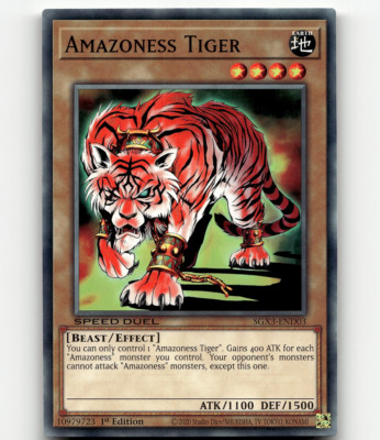 Yugioh Amazoness Tiger Speed Duel GX: Duelists of Shadows-image