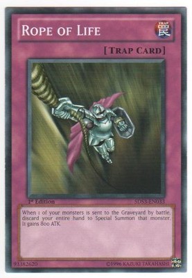 Rope of Life - 5DS3-EN033 - Common - 1st Edition - Near Mint-image