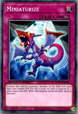 Miniaturize 5DS2-EN039 Yu-Gi-Oh! 5D's-1st Edition 1st Edition-image